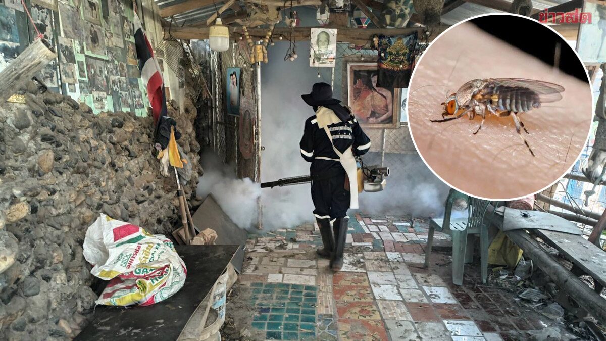 Wang Nuea Hospital Clarifies Mysterious Death of 68-Year-Old Funeral Worker from Insect Bite