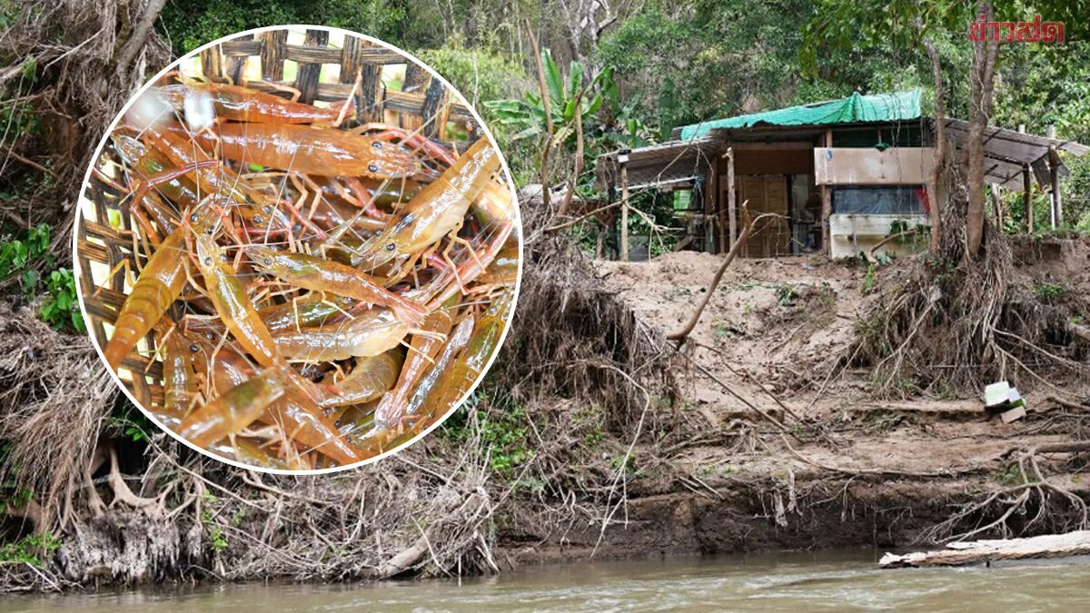 Forest Department Files Legal Action Against Intruders in Huay Kung Reserved Forest Area