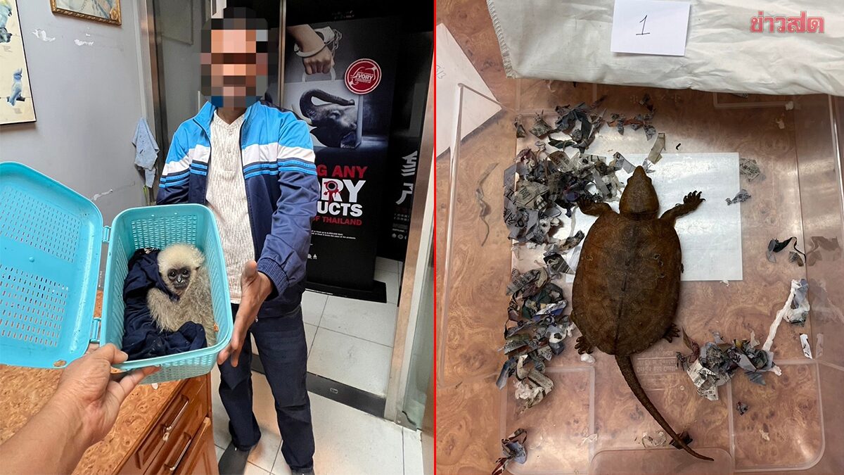 Indian Man Caught at Airport Smuggling Rare Wildlife in Luggage