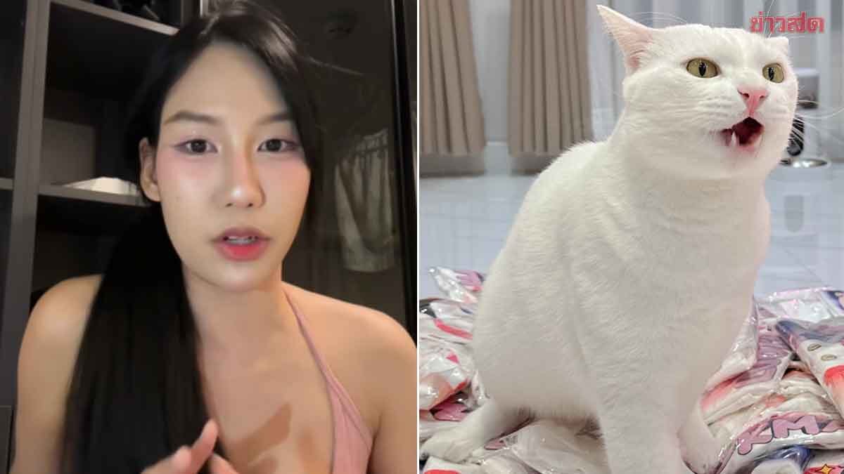 Revealing the Cause of 'Khai Khao's' Death: Famous Cat's Owner Shares Details