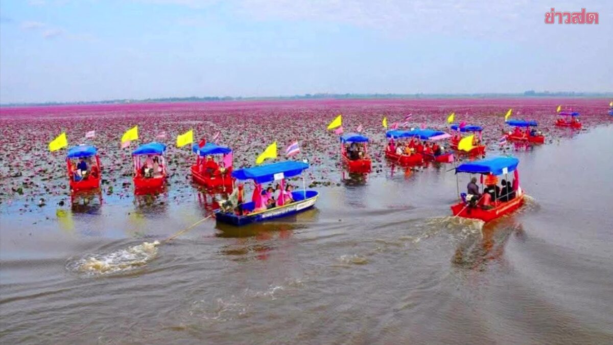 Extremely Lively! Tourists Flock to Follow Lisa's Footsteps at Red Lotus Sea