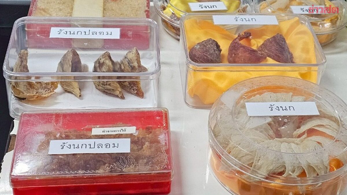 Department of Medical Sciences Warns About Fake Bird's Nest, Offers Sialic Acid Analysis Service