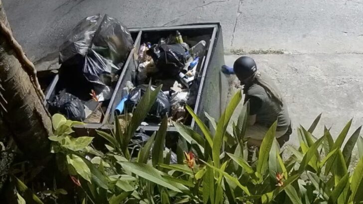 Foreign Tourist 'Mr. Spray' Apologizes for Widespread Graffiti on Koh Phangan