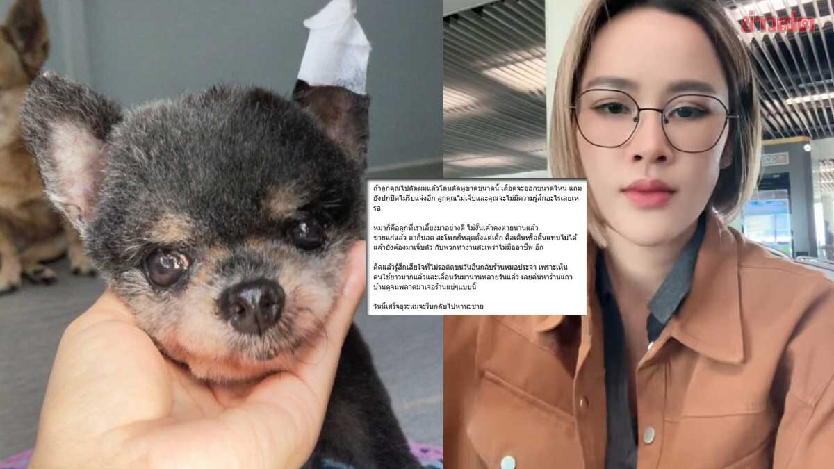 Tears Flow as Noo Lek Furious Over Dog Grooming Salon That Cut Dog's Ear Off