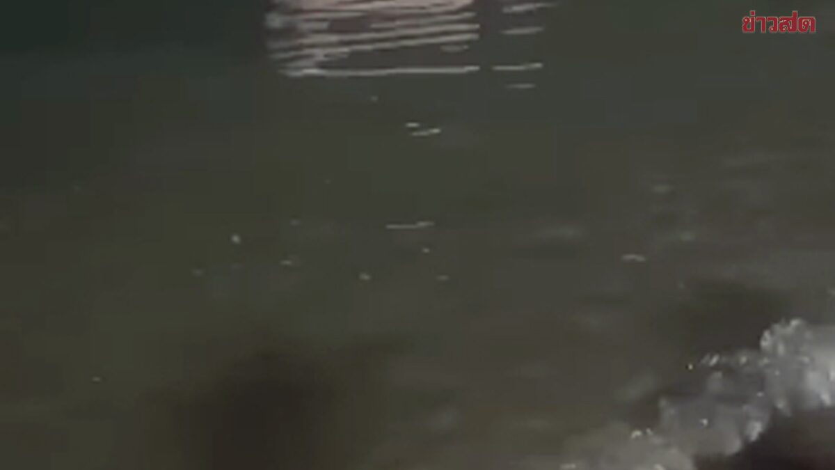 Social Media Erupts: Tourist Couple's Intimate Public Display Sparks Controversy in Pattaya