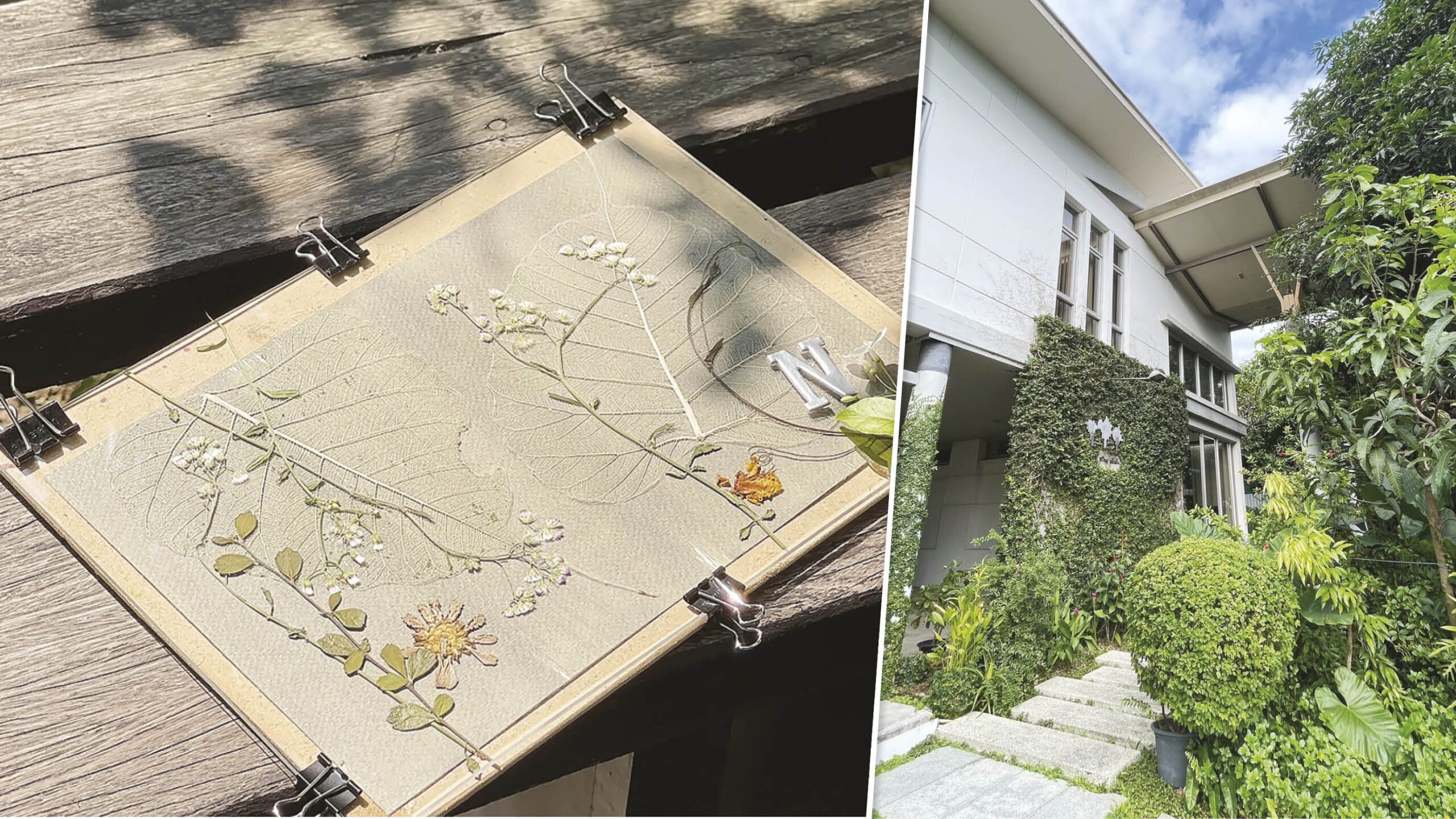 Youth Insights - Learning, Expanding the Heart, Healing at PaYai The Space