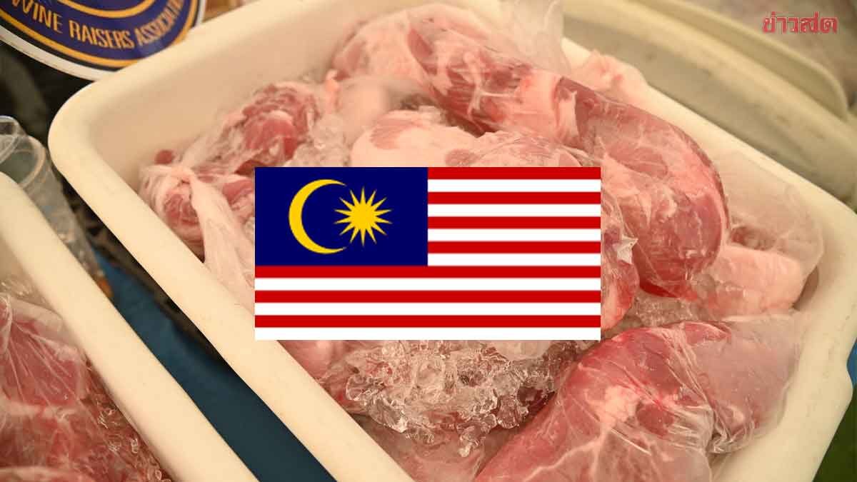 Thai Pork Producers Celebrate! Malaysia Approves Imports from 4 Companies, Boosting Exports to 4 Billion Baht