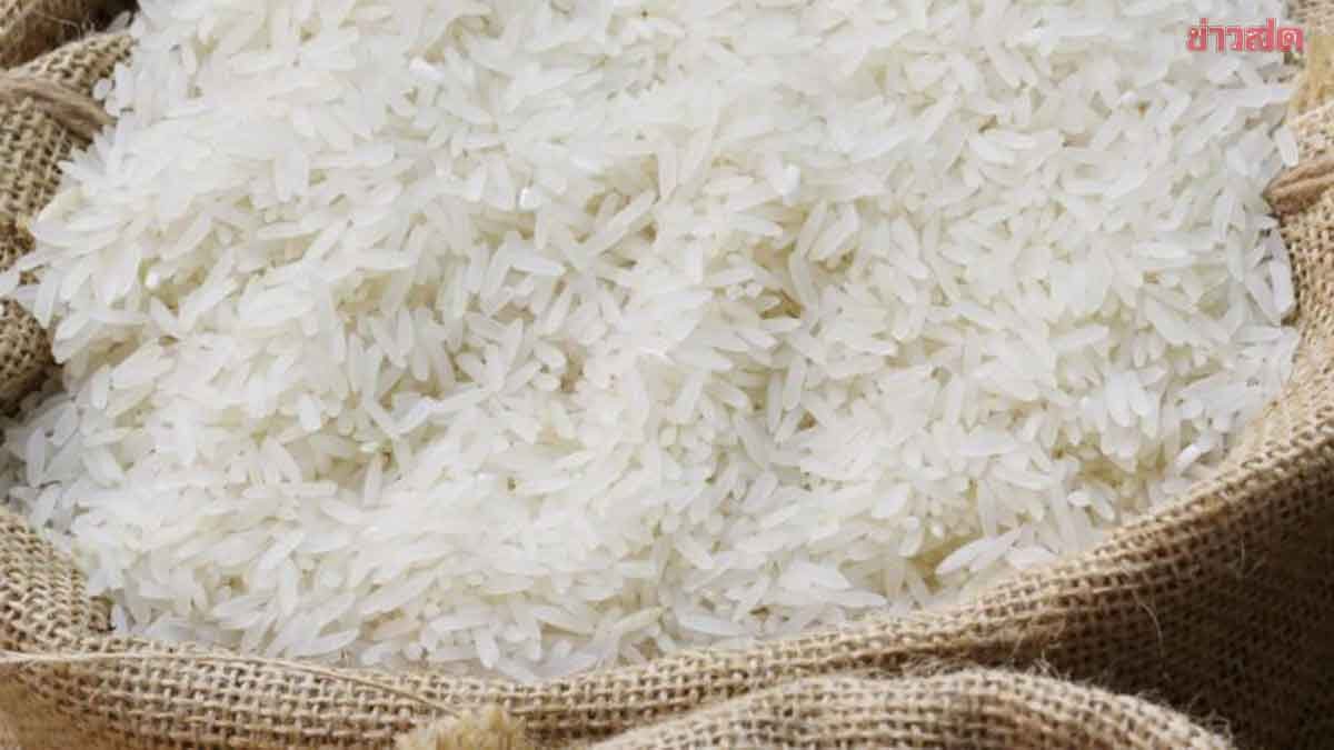Alarm Raised! Rice Exports Plummet 40% as Indonesia Bans Imports and Philippines Increases Taxes