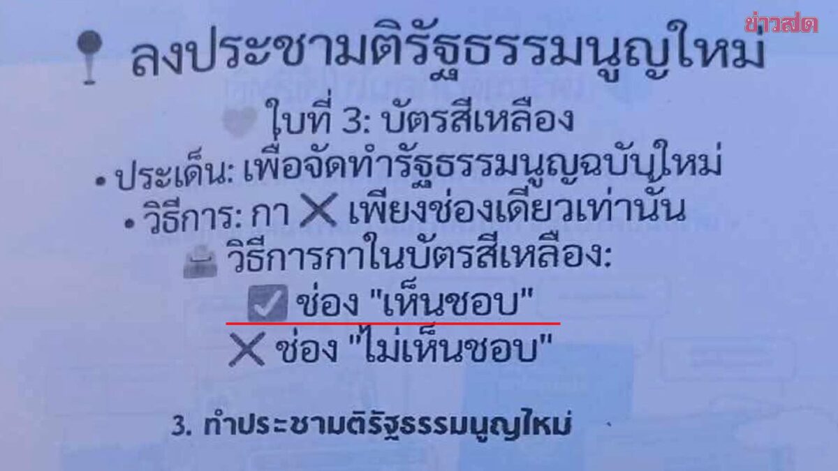 Mysterious Leaflet Distributors Encourage Referendum Voting with Misleading Instructions