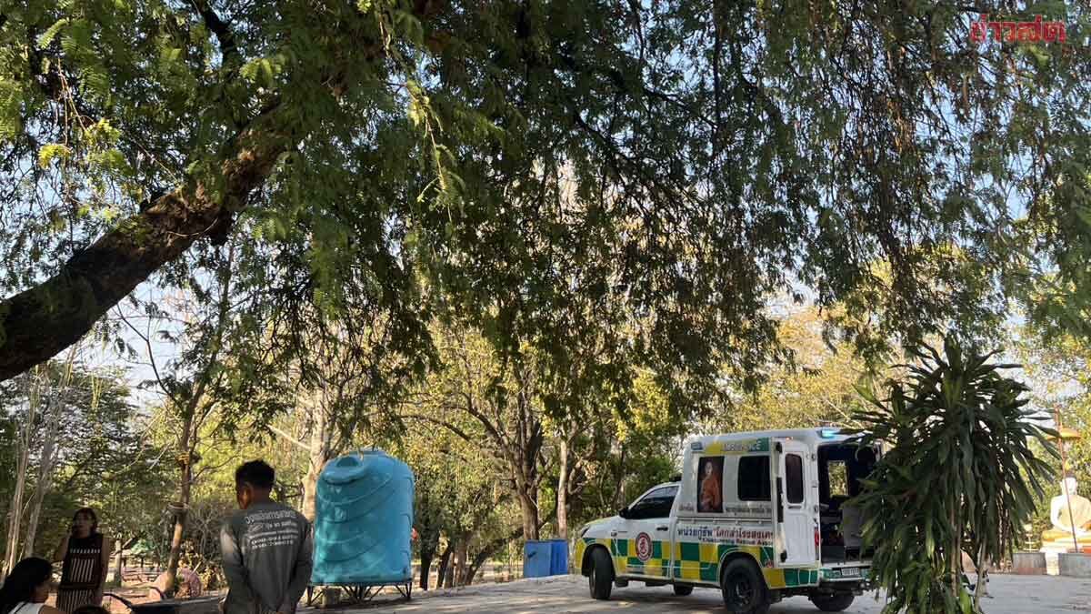 Monk Falls to His Death While Trying to Shake Tamarind Tree