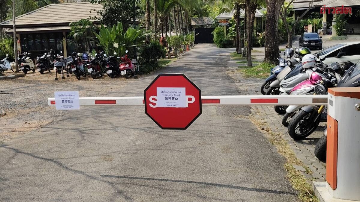 Chiang Mai Tiger Center Closes for 14 Days After Mysterious Tiger Deaths, Suspected Disease Outbreak