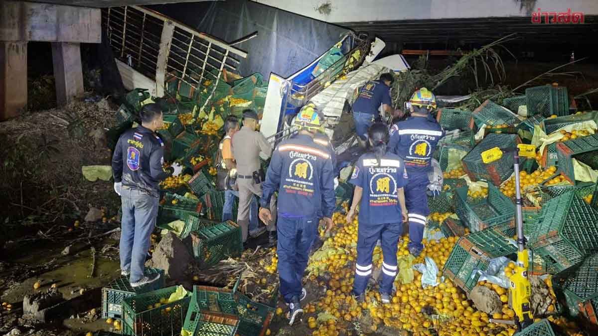 Tragic Accident: 6-Wheel Truck Plunges Off Bridge, Driver Dies After Falling Asleep