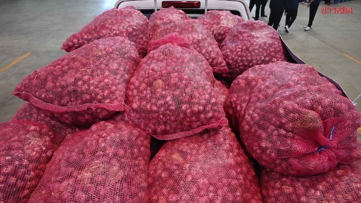 Department of Cooperative Promotion Launches Red Onion Caravan to Distribute Produce and Combat Low Prices