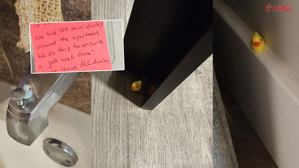 Housemaid Quits After Employer Hides 100 Rubber Ducks Throughout House to Test Her Diligence