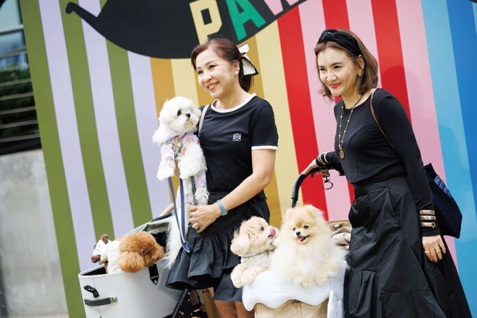 เพื่อนตัวเล็ก