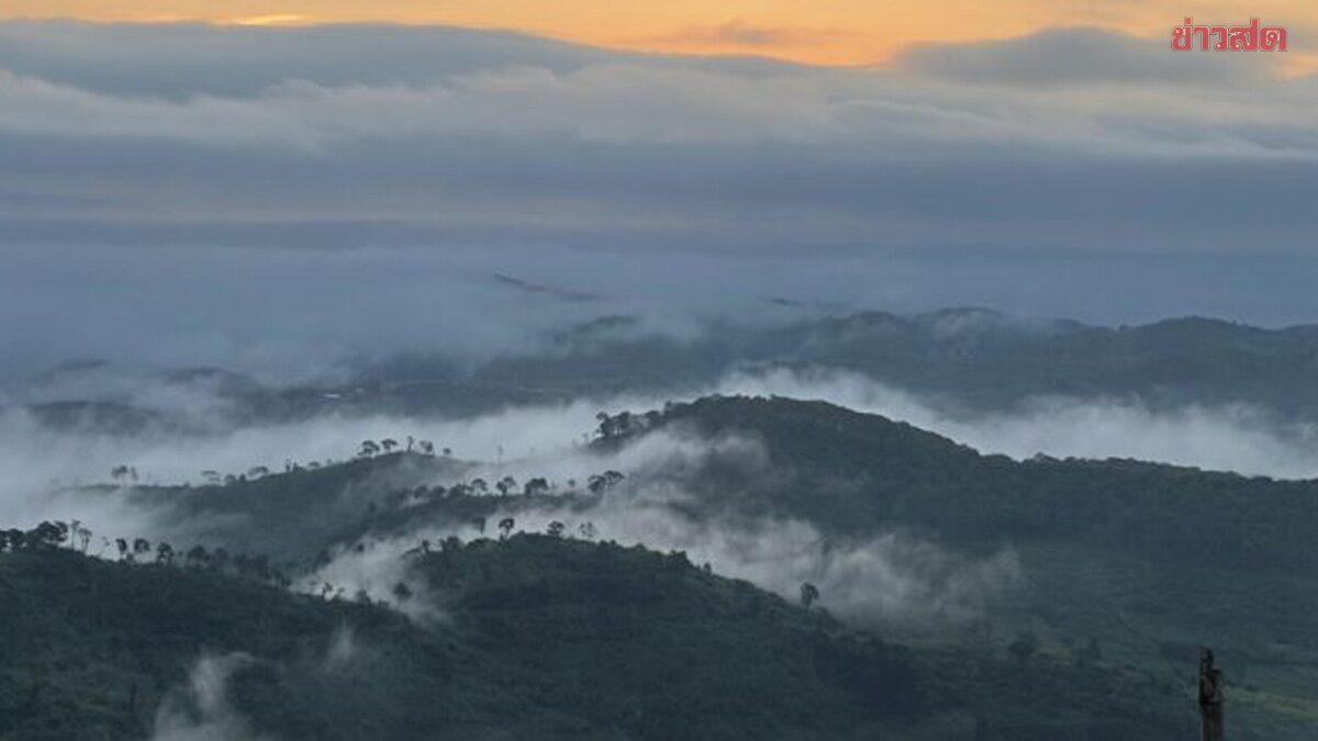 Meteorological Department Warns of Cool Morning Weather, Light Rain in Northern Thailand and Thunderstorms in the South