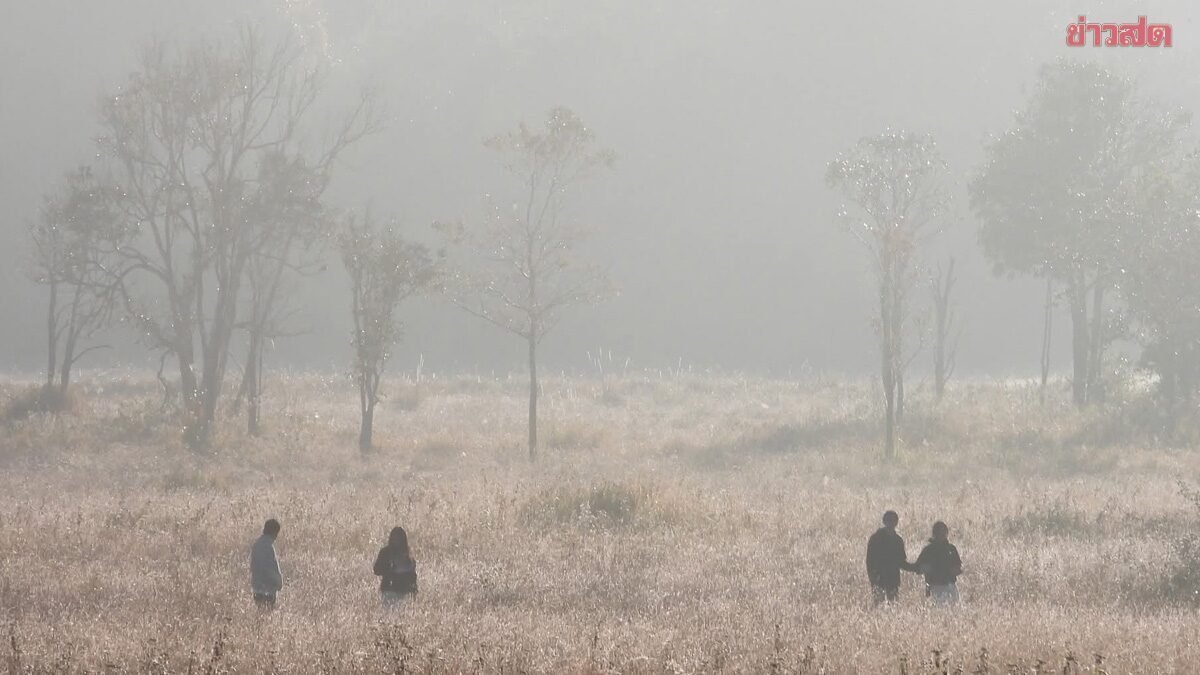 Meteorological Department Forecasts Strong Cold Air Mass, Temperature Drop of 3 Degrees