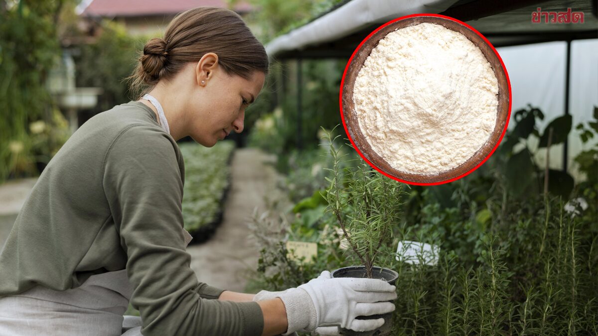Secret Tip: Eliminate Garden Pests Completely with This Household Ingredient