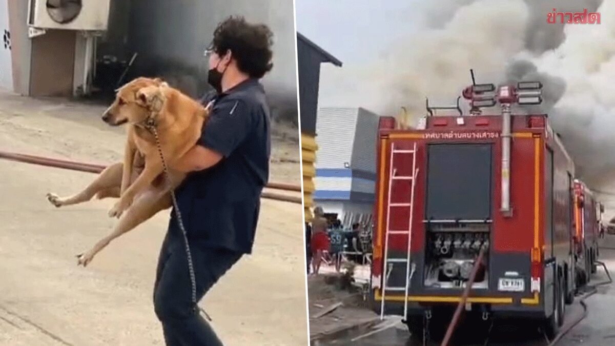 Urgent Fire Evacuation: Massive Blaze Engulfs Popular Nightclub in Samut Prakan