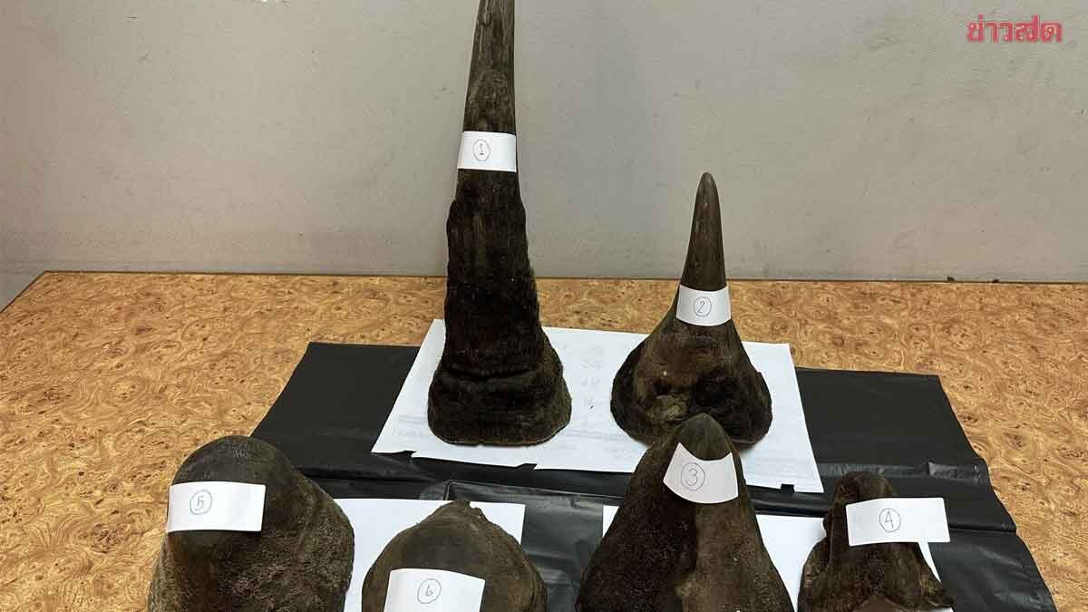 Caught at Suvarnabhumi Checkpoint: Smuggling Rhino Horns Hidden in Foam Box