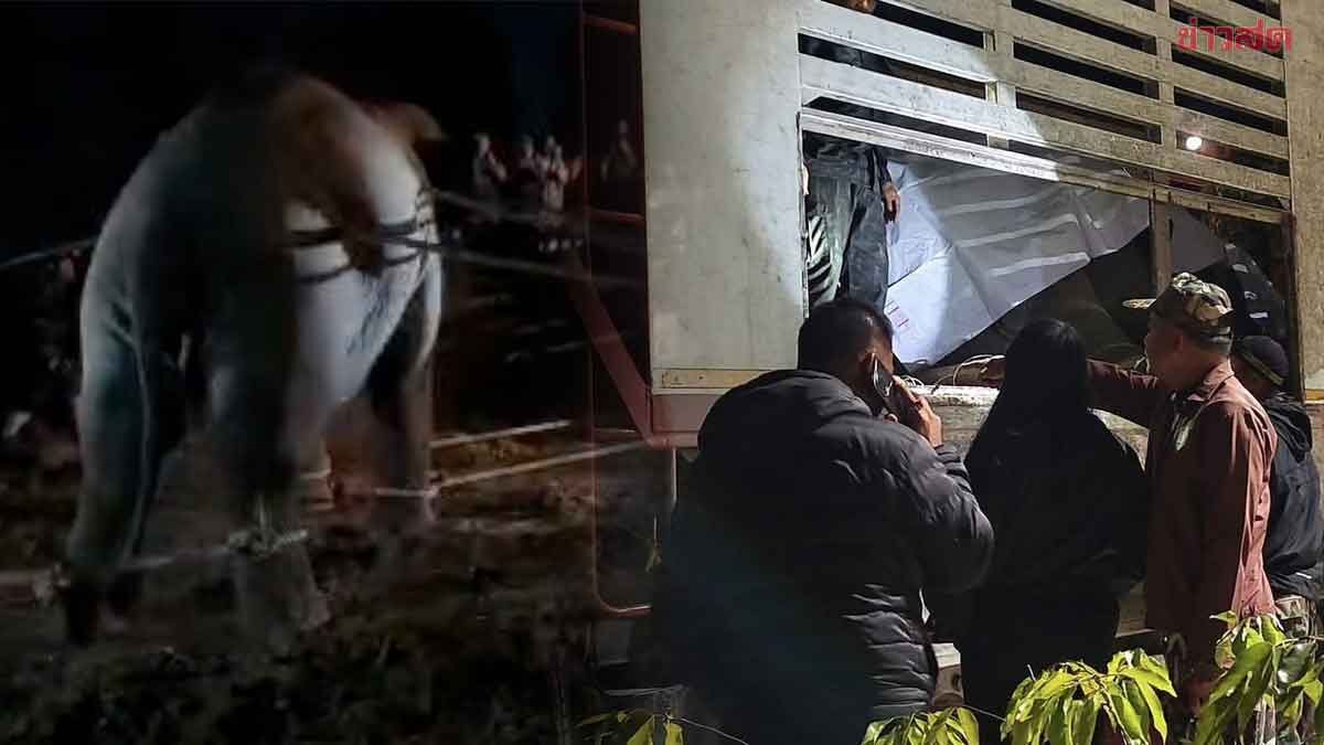 Villagers Remain Skeptical About Fallen Elephant After Sedation and Transportation