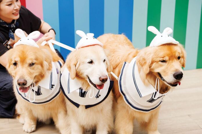 เพื่อนตัวเล็ก