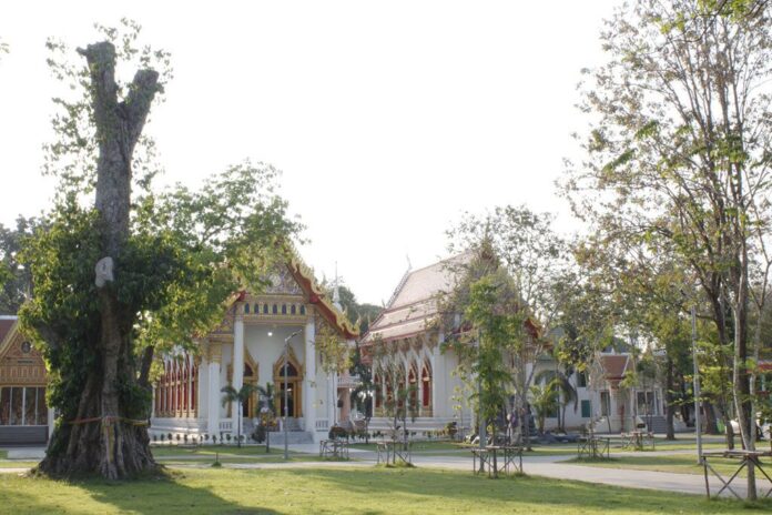 ข่าวสดพระเครื่อง