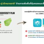 'กรมป่าไม้-สผ.' ยกระดับการอนุรักษ์ความหลากหลายทางชีวภาพของประเทศ