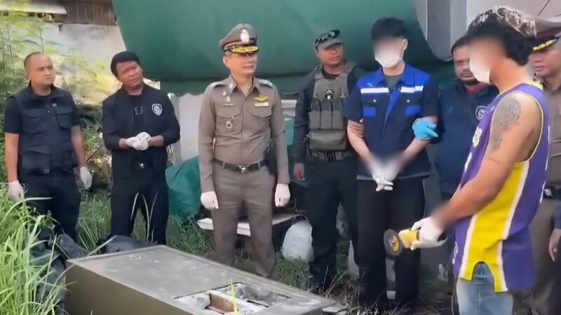 มดออย