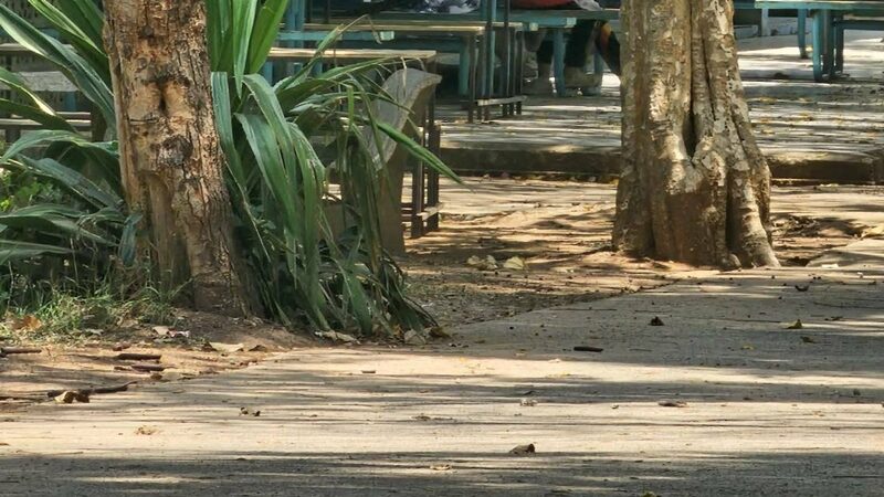 ครูพละหื่น