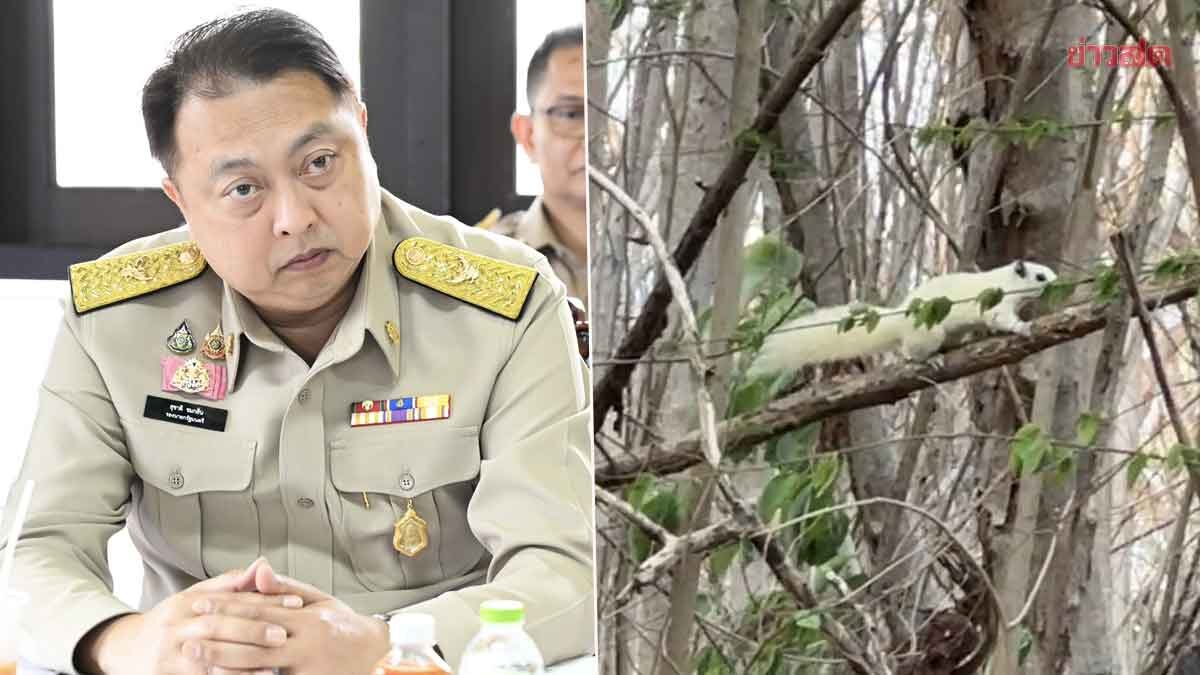 ทส. ลงพื้นที่เกาะสีชัง ชูเกาะสีเขียว เดินหน้าฟื้นฟูทรัพยากร–อนุรักษ์“กระรอกขาว”