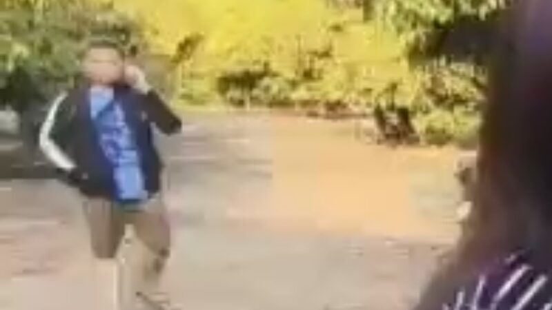 น้องแพรว