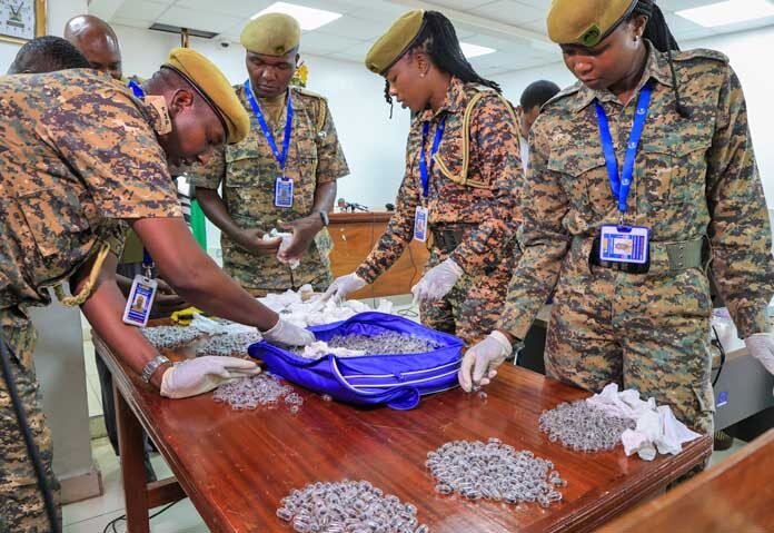 เจ้าหน้าที่พิทักษ์สัตว์ป่าของเคนยาคัดแยกมดราชินีที่ยังมีชีวิตอยู่ซึ่งถูกนำมาแสดงต่อศาล ขณะที่จาง เค่อฉุน ชาวจีน และชาร์ลส์ มวางกี พลเมืองชาวเคนยา ถูกตั้งข้อหาลักลอบนำมดเหล่านี้ผ่านสนามบินนานาชาติโจโม เคนยัตตา ในกรุงไนโรบี ประเทศเคนยา เมื่อวันอังคารที่ 17 มีนาคม 2026