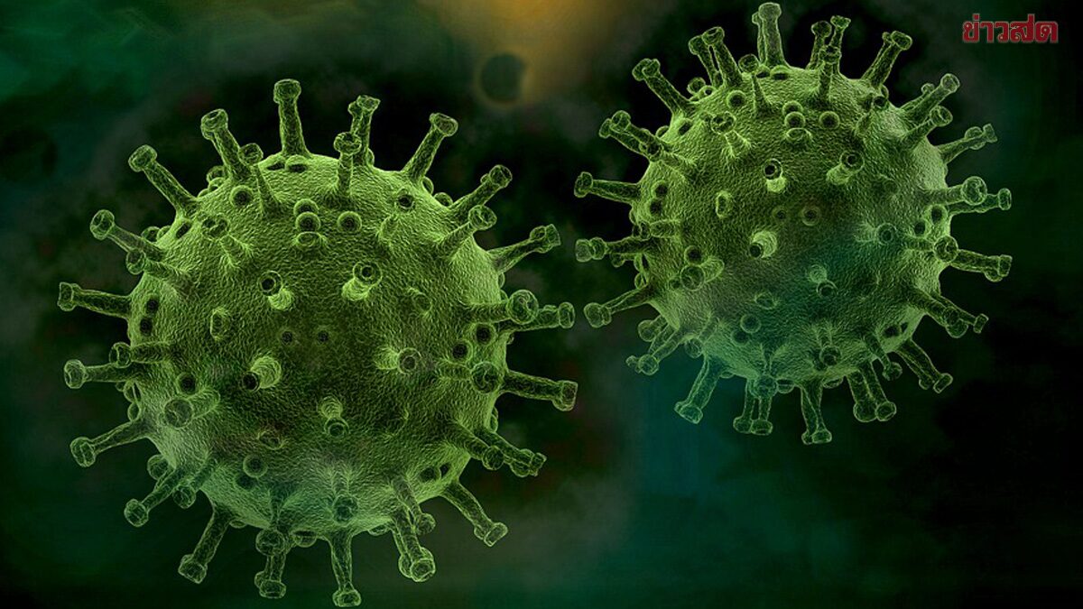 สถาบันวัคซีนแห่งชาติ แจงแล้ว ปมพบ โควิด สายพันธุ์ใหม่ ‘Cicada’