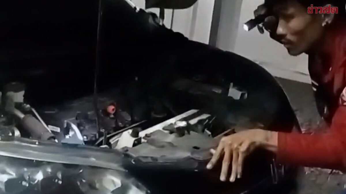 ลูกแมว ติดในห้องเครื่องเก๋งเจ้าของร้านเสริมสวย ส่องทะเบียนรถ
