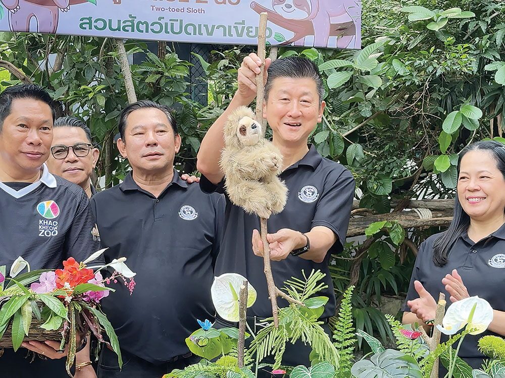 เพื่อนตัวเล็ก - สวนสัตว์เปิดเขาเขียว ชวนตั้งชื่อลูกสลอธน้อย
