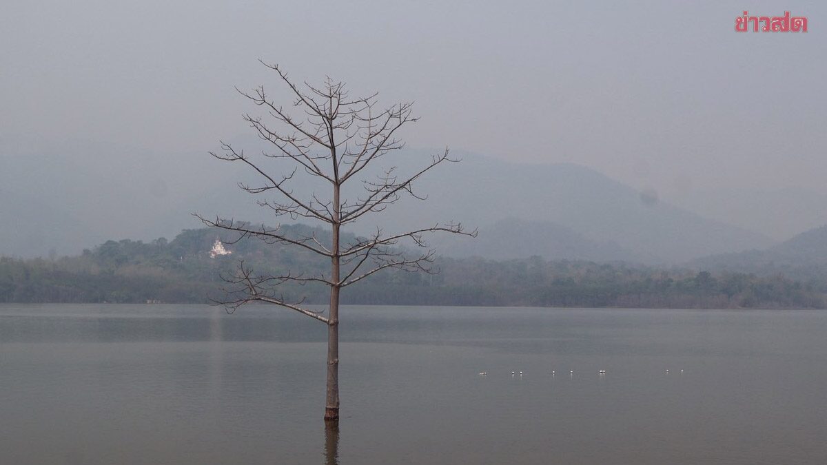 ฝุ่นเหนือ ยังสาหัส PM2.5 เกินมาตรฐาน กระทบสุขภาพ เปิดชื่อ 19 จังหวัด 7 วันข้างหน้า แนวโน้มเพิ่มขึ้น