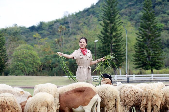 ซุปตาร์บันเทิง