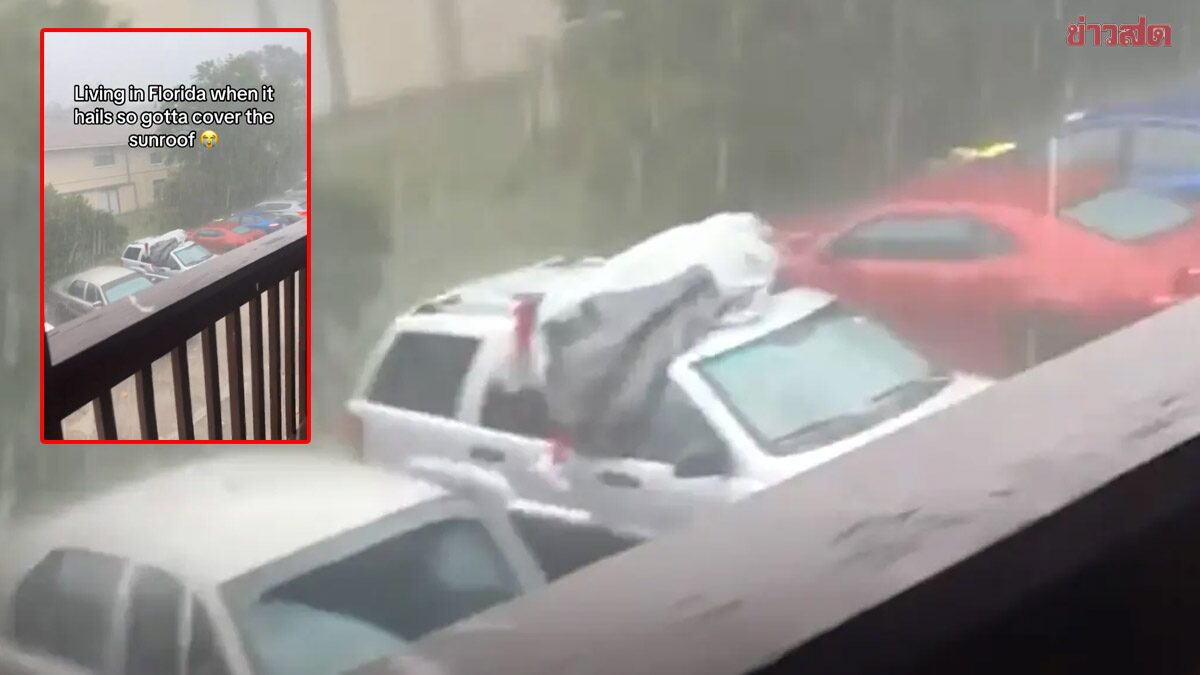 สุดระทึก! หนุ่มฟลอริดาใช้ร่างกายเป็นโล่ ปกป้องรถจากพายุลูกเห็บตกหนัก (คลิป)
