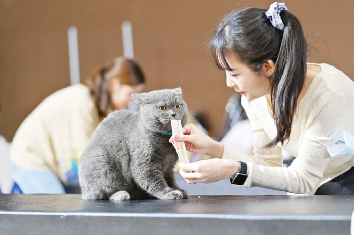 เพื่อนตัวเล็ก