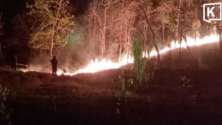 Wildfires surge to nearly 100 hotspots in Mae Hong Son