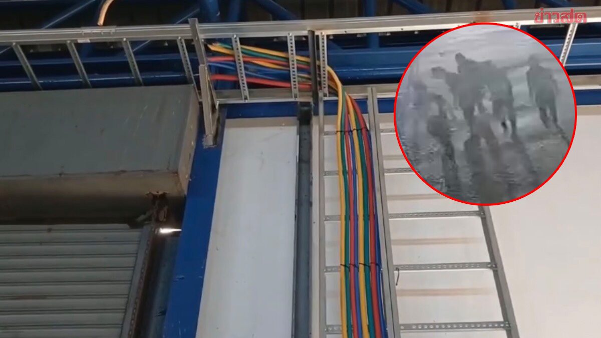 ตั้งค่าหัว 5 หมื่น ล่า 9 คนร้ายลักตัดสายไฟในโรงงาน สูญกว่า 10 ล้านบาท ทิ้งคราบน้ำหมากไว้