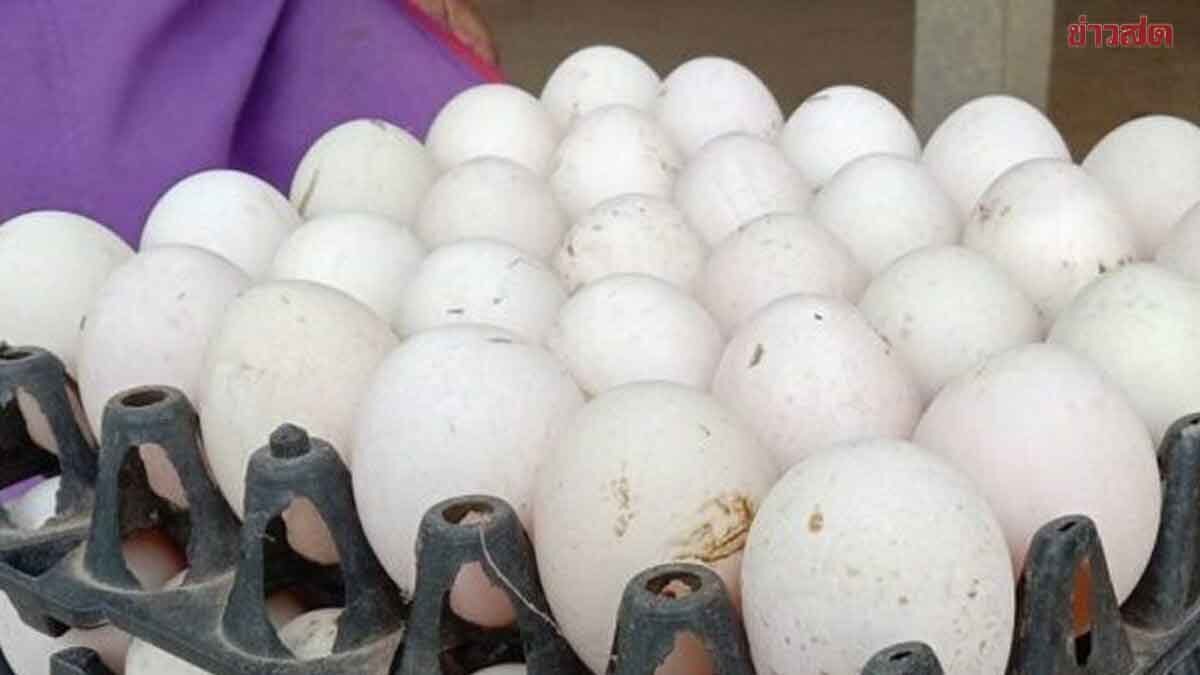 วันนี้ ไข่เป็ด ขึ้นราคา 6 บาท/แผง ดันราคาแตะฟองละ 4.20บาท