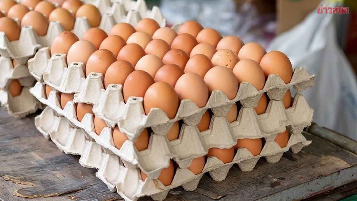 เครือข่ายสหกรณ์ฯ ประกาศ ไข่ไก่ปรับราคาขึ้นแผงละ 6 บาท มีผลพรุ่งนี้ 28 มี.ค.69