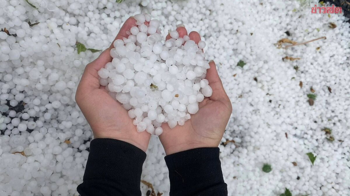 .สภาพอากาศวันนี้ ระวังพายุฤดูร้อน ลมแรง ฝนหนัก ลูกเห็บตก 50 จังหวัด.