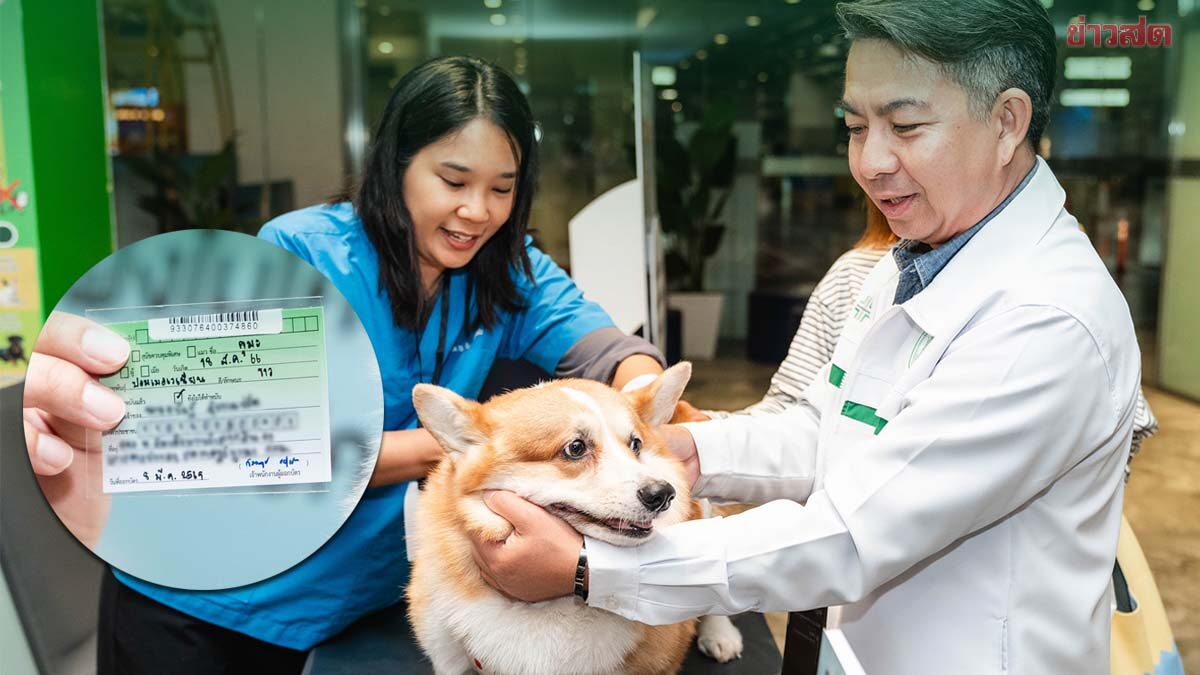 .ทาสรีบเลย! กทม.ผนึกเอกชน เปิดบริการ ฝังชิป-ฉีดวัคซีน น้องหมา น้องแมว ฟรีตลอดปี.