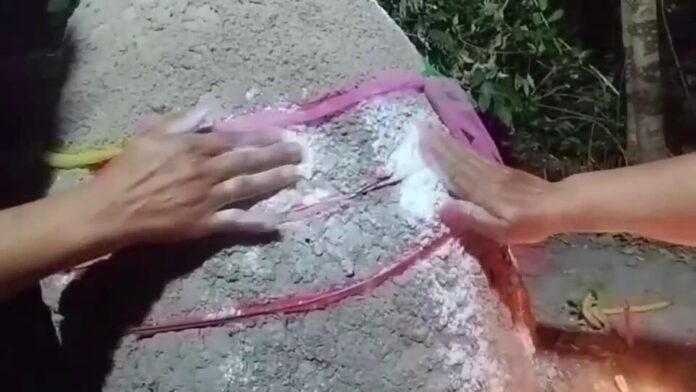 เจ้าพ่อจอมปลวก 