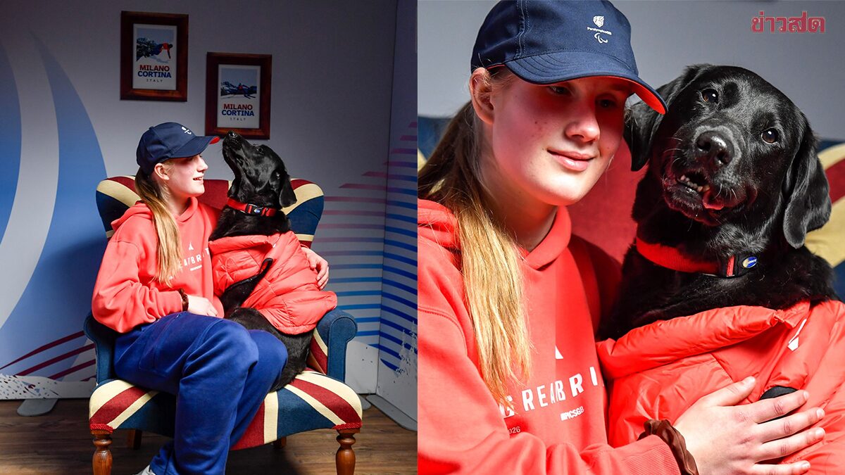 น้องพิกเกิล สุนัขนำทางวัย 8 ปี.