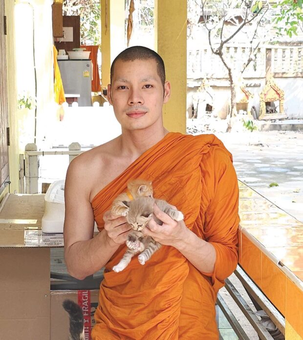 เพื่อนตัวเล็ก - ‘พระเบนซ์’เล่าที่มา โพสต์หาบ้านลูกแมว