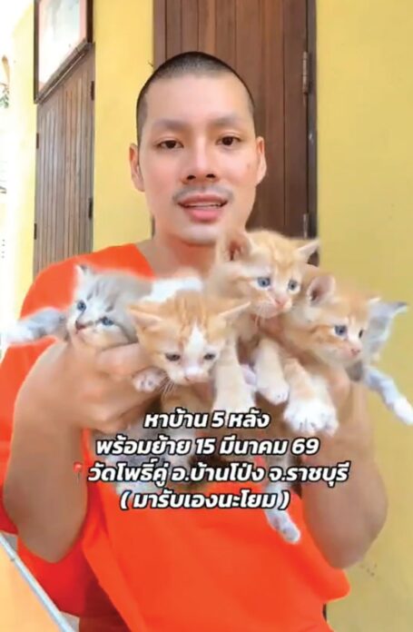 เพื่อนตัวเล็ก - ‘พระเบนซ์’เล่าที่มา โพสต์หาบ้านลูกแมว
